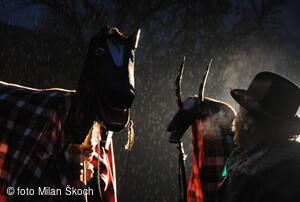 Chození s klibnou a kozlíky v Kovářově