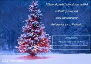 Léčebná rehabilitace