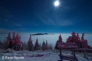 Foto Pavel Špurek