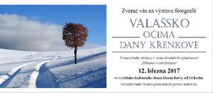 výstava