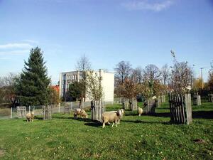 Bernartice nad Odrou