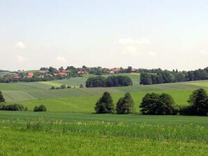 bernartice nad Odrou