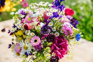 Ing. Hana Rulíková, Železnohorské květiny