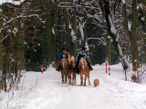 Hotel Zubříč - okolí