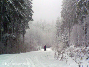 Hotel Zubříč - okolí