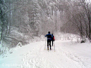 Hotel Zubříč - okolí