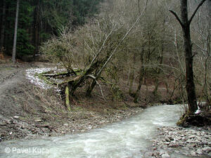 Bílé Karpaty, Zápechová