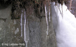 Ondřejník, makrosnímky