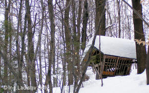 Cesta z Frýdlantu n.O. na Ondřejník