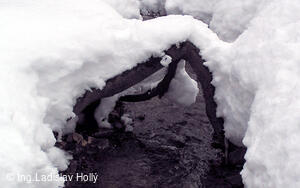 Cesta z Frýdlantu n.O. na Ondřejník