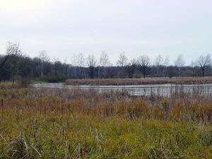 Rybník Kotvice, CHKO Poodří