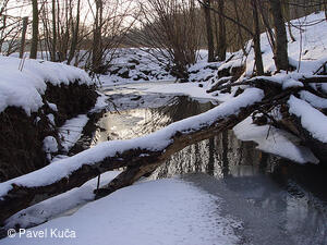 Bojkovice, potok