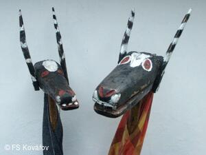 Chození s klibnou a kozlíky v Kovářově