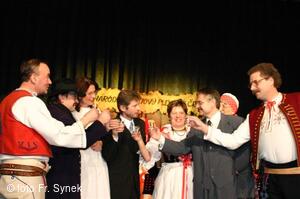 Národní krojový ples