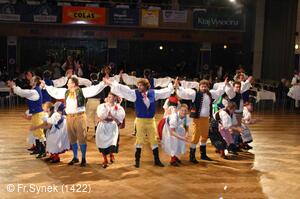 Národní krojový ples