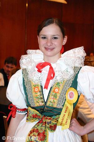 Národní krojový ples