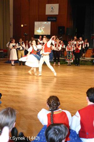 Národní krojový ples