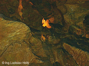 Mladečské jeskyně Chudobín u Litovle