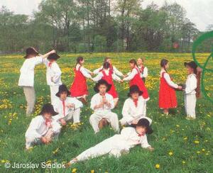 Vonička (Havířov) 11