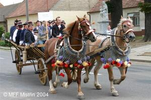 Mezinárodní folklorní festival Mistřín