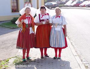 Mezinárodní folklorní festival Česká náves - Dýšina