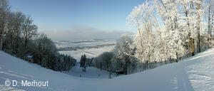 Svinec 15.1.2006, Nový Jičín