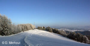 Svinec 15.1.2006, Nový Jičín