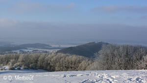 Svinec 15.1.2006, Nový Jičín