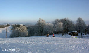 Svinec 15.1.2006, Nový Jičín