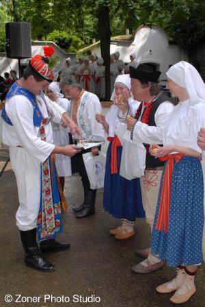 Folklorní sdružení Strážnicko-Veselsko-Horňácko