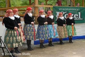 Folklorní sdružení Strážnicko-Veselsko-Horňácko