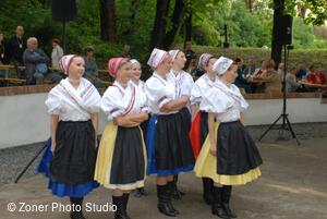 Folklorní sdružení Strážnicko-Veselsko-Horňácko