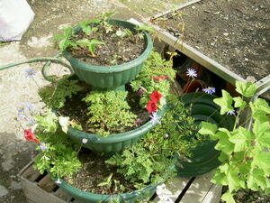 Květinářství pod kostelem