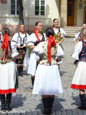 Krušnohor, český národní soubor