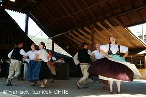 Folklorní festival Slezské dny