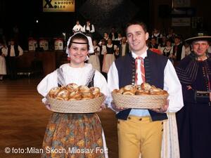 Jihočeské folklorní sdružení