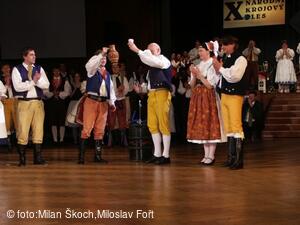 Jihočeské folklorní sdružení