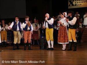 Jihočeské folklorní sdružení