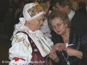 Jihočeské folklorní sdružení