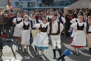 Podjavořičan, folklorní soubor
