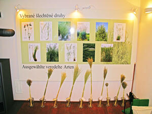 Rodný dům Johanna Gregora Mendela