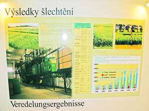 Rodný dům Johanna Gregora Mendela