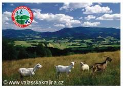 Zpravodaj CHKO Beskydy