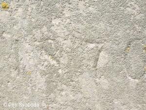 Kříž u cesty do Nejdku