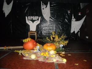 Společnost pro podporu lidí s mentálním postižením v ČR,o.s.