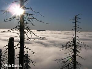 Inverze - Bob Damek