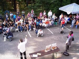 Království perníku 2009 - dražba perníkových zvířátek ve prospěch MŠ Ráby