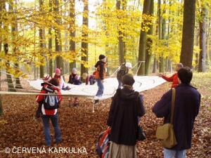 Perníkiáda 2009 - pavoučí síť