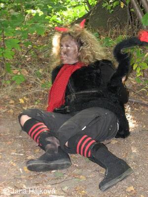 Procházka pohádkovým lesem