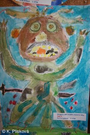 Saly, Pavlína Lyčková